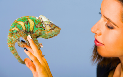 How to Embrace Change & Life Transitions Without Losing Your Momentum