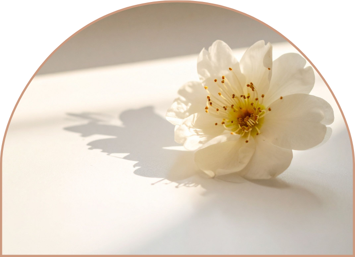 Grief and Loss Therapy